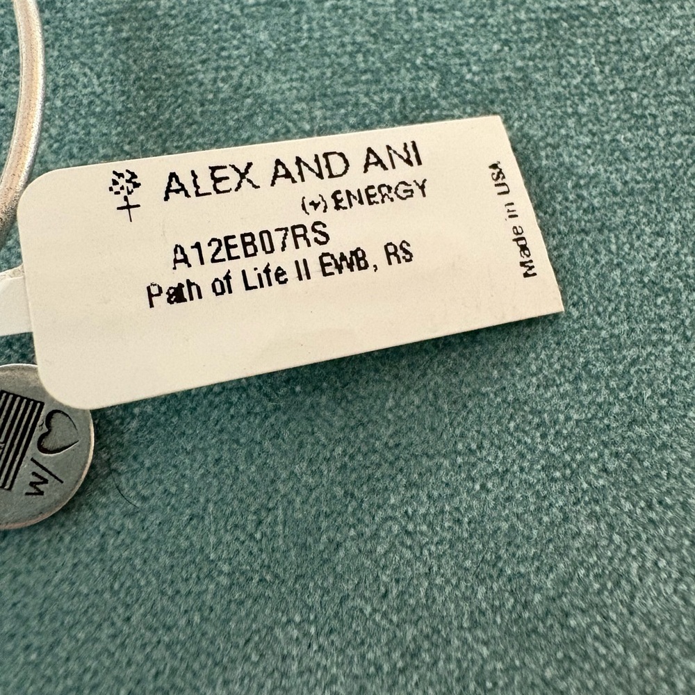 Alex and Ani Path of Life Bracelet - Picture 4 of 6